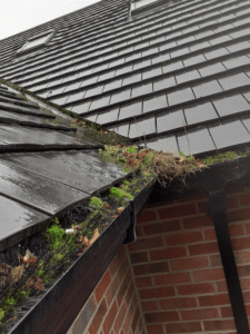Blocked gutters full of leaves and debris
